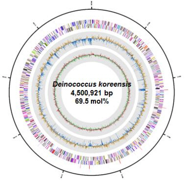 ‘데이노코쿠스 코렌시스’ 유전체 지도/환경부 제공=연합뉴스