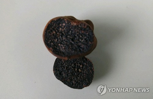 '빛좋은 개살구?' 전북 임실 '송로버섯' 속검정덩이버섯으로 확인