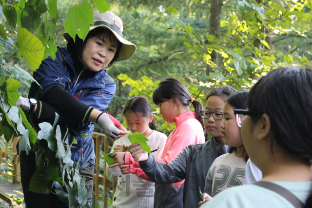 숲해설가가 초등학생을 대상으로 숲에서 산림교육을 실시하고 있다. 사진제공=한국산림복지진흥원