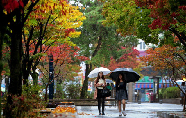 내일(28일) 가을비·최저 2도까지 뚝↓… 주말 내내 '초겨울 날씨'