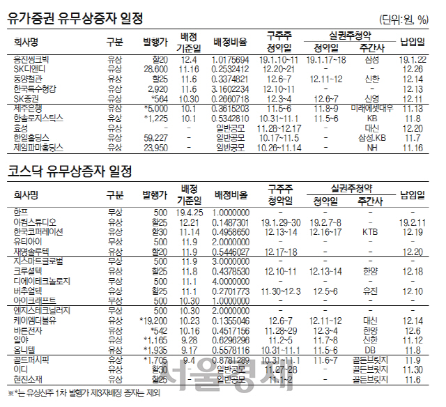 유무상증자일정