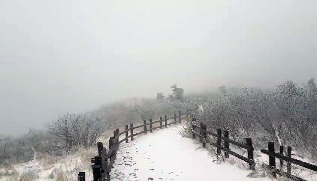 지난 28일 설악산 중청대피소 주변 등산로에 눈이 쌓여있다. 이날 내린 눈은 강한 바람 때문에 크게 쌓이지 않아 오후 7시 현재 적설량은 2∼3㎝ 정도다./사진=설악산국립공원사무소 제공