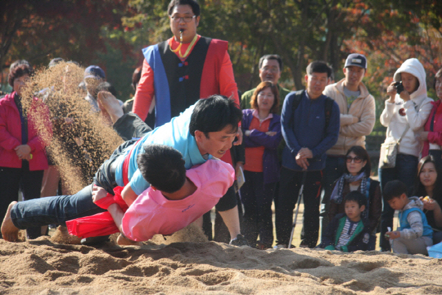 문경 사과축제 중 씨름 장면. /사진제공=문화재청