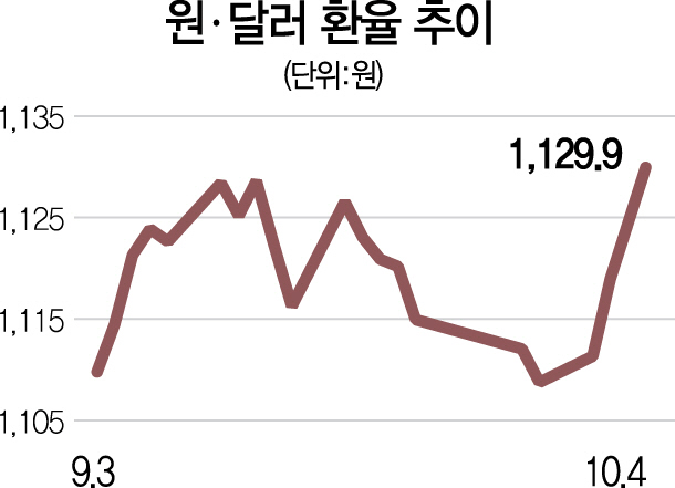 원·달러환율, 한때 연중 최고치 근접…'주식시장 붕괴 원인'