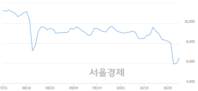 <코>인트로메딕, 전일 대비 11.52% 상승.. 일일회전율은 0.65% 기록