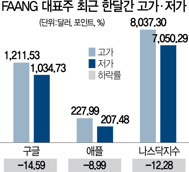 0515A21 FAANG대표주한달간고가저가