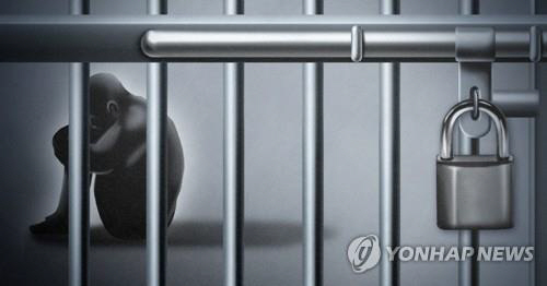 긴급체포된 성폭행 피의자가 유치장에 입감되기 전 자해하는 소동이 발생했다./연합뉴스