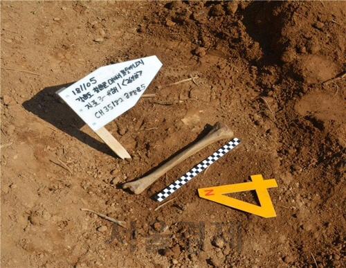 남북 공동 유해발굴을 위한 지뢰제거작업이 진행 중인 화살머리고지 지역에서 발견된 4번째 유해.