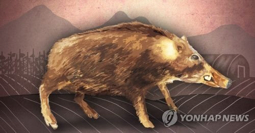 사진= 연합뉴스