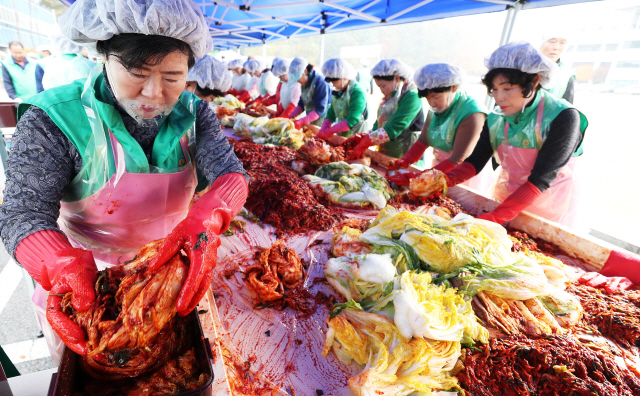 경기도 새마을부녀회 주관으로 7일 경기 수원시 경기도청에서 열린 ‘사랑의 김장 나누기’ 행사에 봉사자로 나선 부녀회원들이 김치를 담그고 있다./수원=연합뉴스