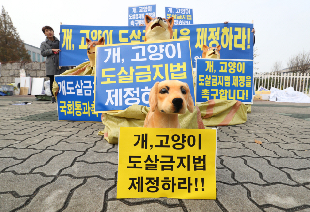 동물보호연합, 국회서 '개·고양이 도살금지법' 제정 촉구