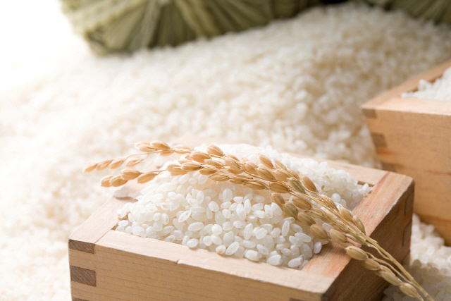 한국소비자단체협의회는 8일 성명서를 내고 “소비자들은 쌀 수확기임에도 인상되고 있는 쌀 가격으로 인해 밥상물가 위협을 느끼고 있다”며 “소비자들은 ‘농민 보호’라는 거대 담론 아래 쌀 가격 논의에서 소외되고 있다”고 밝혔다./사진=이미지투데이