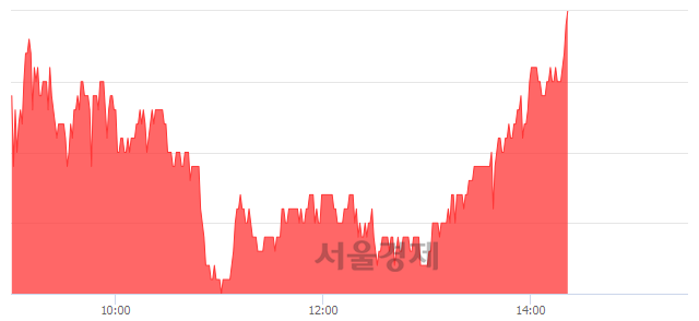 <코>코리아나, 3.08% 오르며 체결강도 강세 지속(116%)