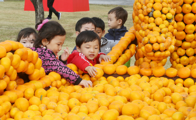 지난 7일 제주 서귀포시 서귀포농업기술센터에서 열린 ‘2018 제주국제감귤박람회’를 찾은 어린이들이 감귤 조형물 옆에서 즐겁게 놀고 있다./연합뉴스