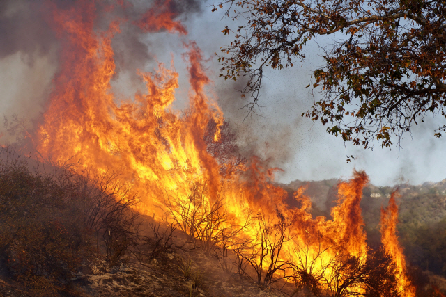 美 캘리포니아 역사상 최대 산불··당국, “24시간이 고비”
