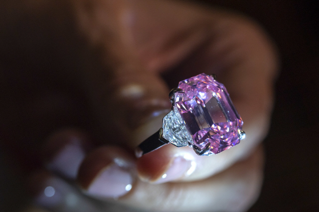 지난달 8일(현지시간) 스위스 제네바에서 열린 크리스티 경매의 언론 사전 공개 행사에서 한 직원이 18.96캐럿 핑크 다이아몬드 ‘핑크 레거시’를 들어 보이고 있다. /제네바=AP연합뉴스