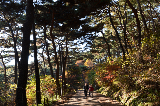 남한산성 안은 숲이 울창하고 아름이 넘는 나무들이 산재해 있는데 이는 산성 내에 있던 금림조합 덕분이다.