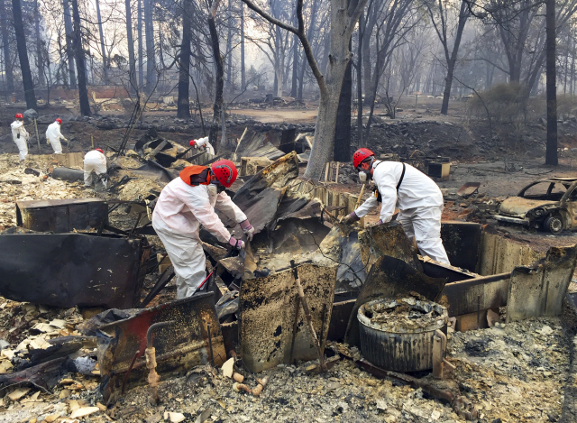 미국 캘리포니아주 북부 뷰트카운티 파라다이스 마을의 산불 피해지역에서 자원봉사자들이 지난 15일(현지시간) 희생자 수색작업을 하고 있다. /AP=연합뉴스