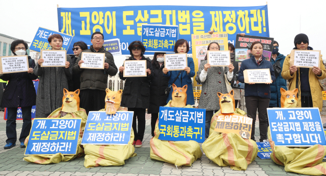 동물권단체 '동물보호법 개정안 통과돼야…개·고양이 도살 금지'