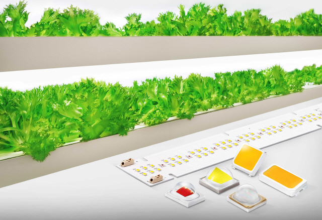 삼성전자 식물 생장용 LED 패키지와 모듈 /사진제공=삼성전자