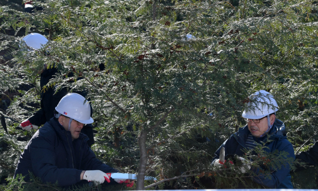박종호(사진 왼쪽) 산림청 차장이 ‘숲가꾸기 1일 체험행사’에서 가지치기를 하고 있다. 사진제공=산림청