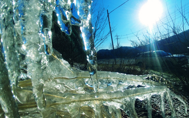 얼음 내린 대관령의 小雪