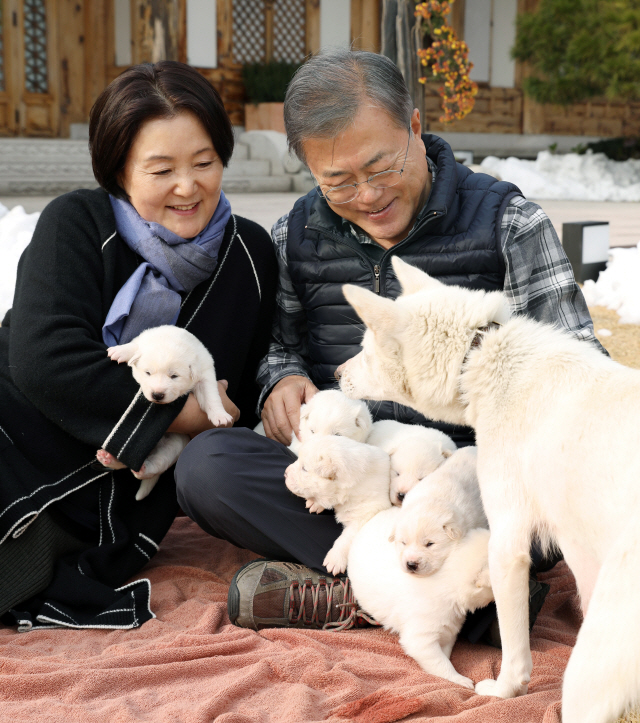 문재인 대통령과 부인 김정숙 여사가 25일 오후 관저 앞마당에서 지난 9일 태어난 풍산개 ‘곰이’의 새끼들을 살펴보고 있다./사진=청와대 제공