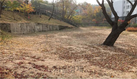 서울 노원구 초안산근린공원 내 도시숲 대상지. /사진제공=서울시