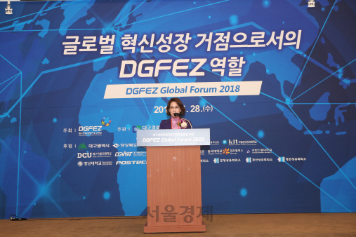 지난 28일 개최된 ‘DGFEZ 글로벌 포럼’에서 이인선 청장이 인사말을 하고 있다/제공=DGFEZ.