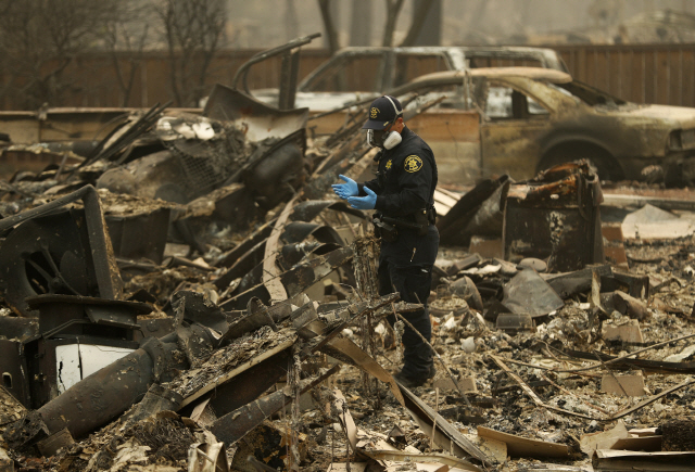 캘리포니아주 정부 당국의 한 관계자가 산불 화재로 전소한 마을을 둘러보고 있다. /AP연합뉴스