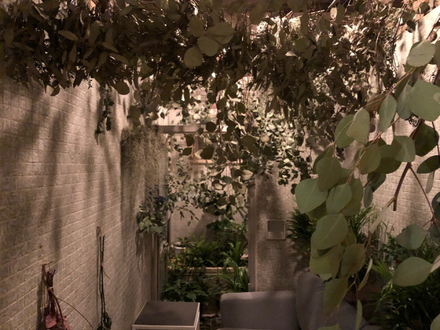 기존 집의 화장실은 B-room으로 탄생했다. 습기에 강하고 빛이 잘 들지 않아도 살수있는 식물을 주로 배치했다.