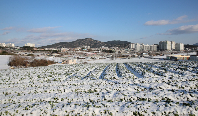 화요일인 11일 추위가 다소 누그러진 가운데 전국에 눈발이 날릴 것으로 예상된다./연합뉴스