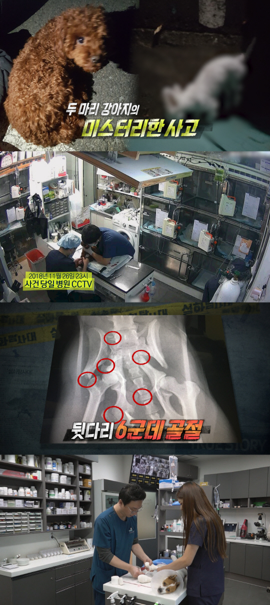 '실화탐사대' 재벌가 어린이 갑질, '강아지 추락' 동물 학대 집중 취재