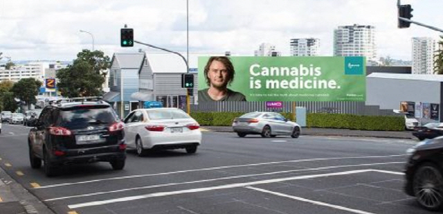 대마초가 ‘약’이라고?…뉴질랜드에 광고까지 등장