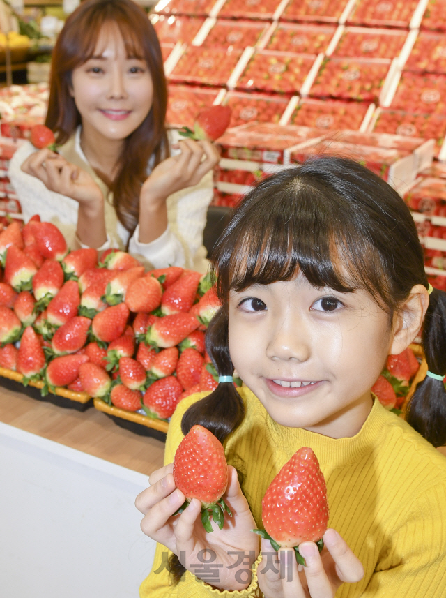 딸기의 왕 '킹스베리' 맛보세요!