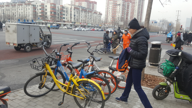 베이징 시내에서 한 고객이 공유자전거를 이용하기 위해 거리에 놓여 있는 자전거들을 살피고 있다./사진=홍병문 기자
