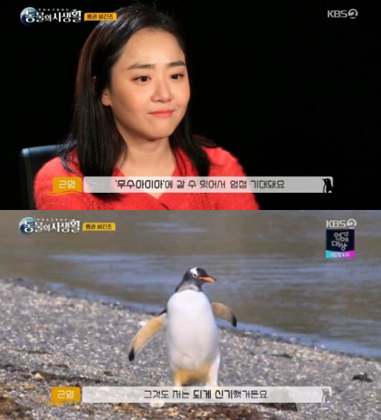 사진=KBS2 ‘은밀하고 위대한 동물의 사생활’ 방송 화면 캡처