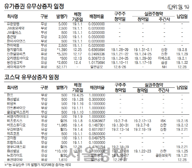 유무상증자일정