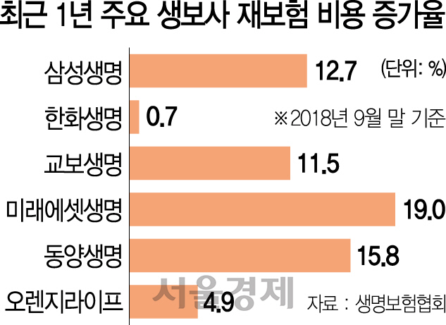 2715A10 최근 1년 주요 생보사 재보험 비용 증가율