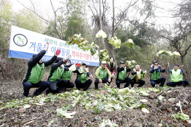 겨울철 야생 먹이 주기      (광주=연합뉴스) 26일 오전 광주 북구 생룡동의 야산에서 북구청 환경과 직원들과 자연보호중앙연맹 북구협의회원들이 겨울철 먹이를 찾지 못한 야생동물들을 위해 배추와 고구마 등을 뿌려주고 있다. 2018.12.26 [광주 북부소방서 제공]      pch80@yna.co.kr  (끝)      <저작권자(c) 연합뉴스, 무단 전재-재배포 금지>