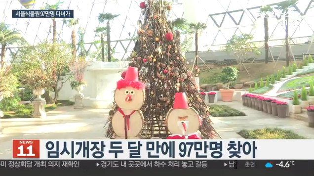 ‘서울식물원’ 방문객 어마어마, 임시 개장으로 입장료 없음, 국내 최대 규모 “겨울에도 후끈 공기”