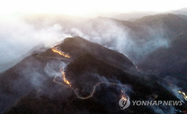 삼척 미로면 산불 '강한 바람, 험한 산세에 불길 잡기 어려워' 13시간만에 진화