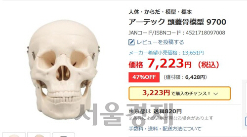 일본 인터넷 쇼핑에서 판매 중인 교육용 두개골 모형(사진은 기사와 관련없음). /야후재팬캡쳐=연합뉴스