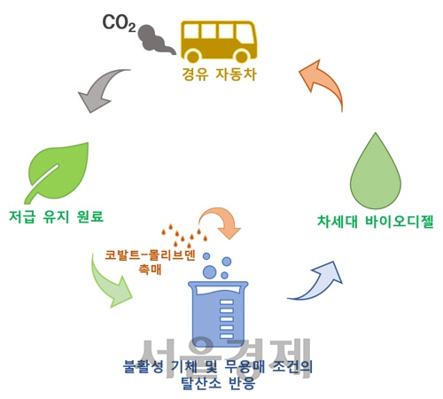 코발트·몰리브덴 촉매 탈산소 반응을 통한 차세대 바이오 디젤 생산 개요도. /자료=한국연구재단