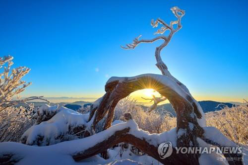 전국 해맞이·해넘이 명소, 어디? 태백산 천제단 등 6곳 선정