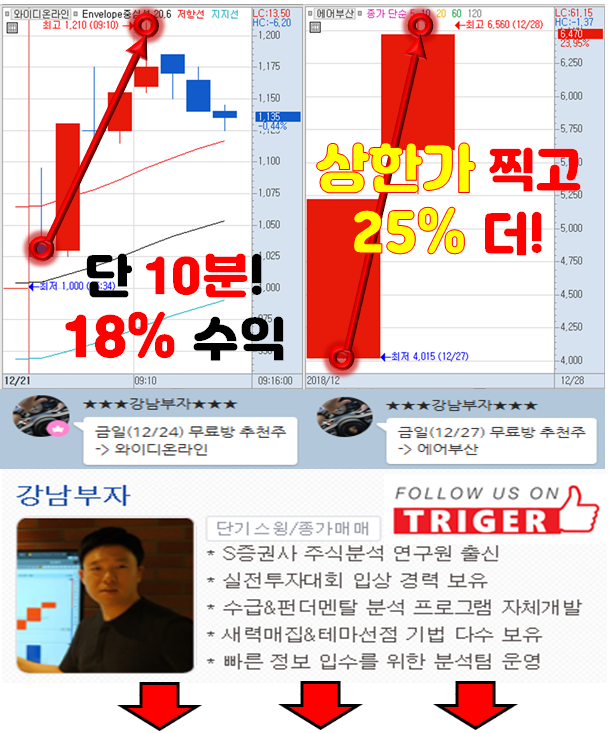 2019년 이 종목은 꼭 잡아라!