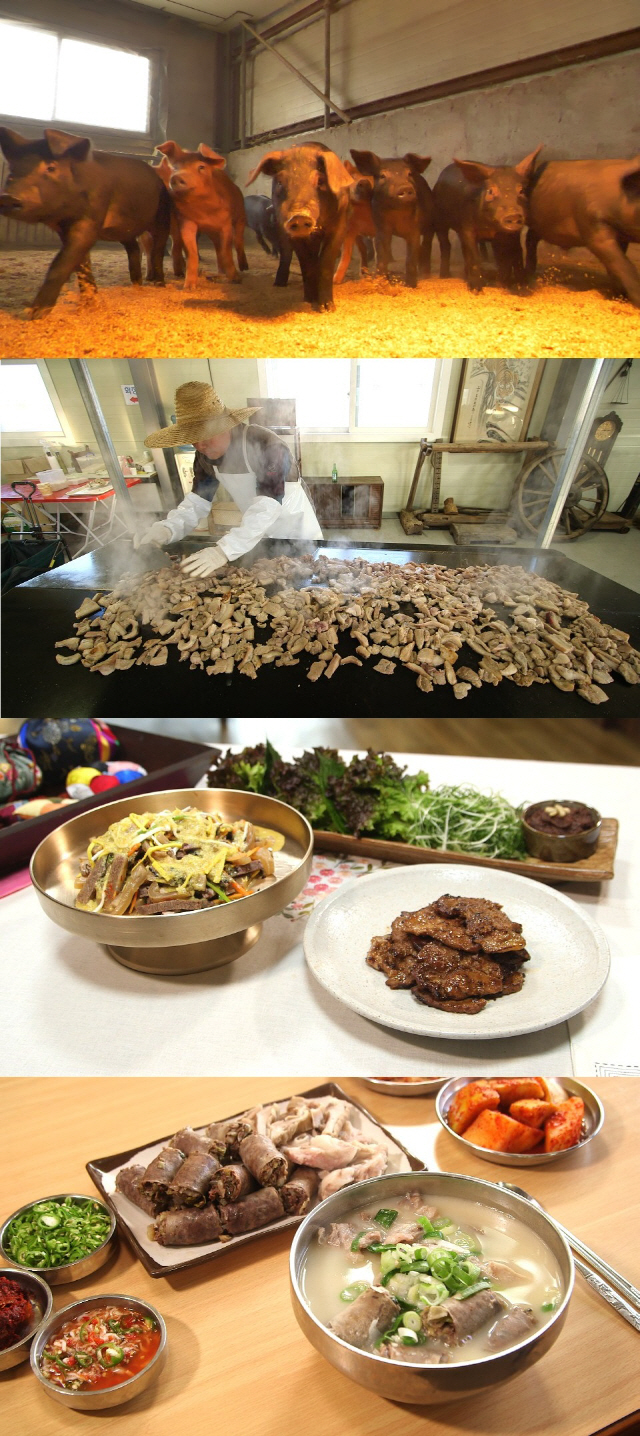 ‘한국인의 밥상’ 최불암, 황금돼지해 복 부르는 돼지고기 밥상 소개