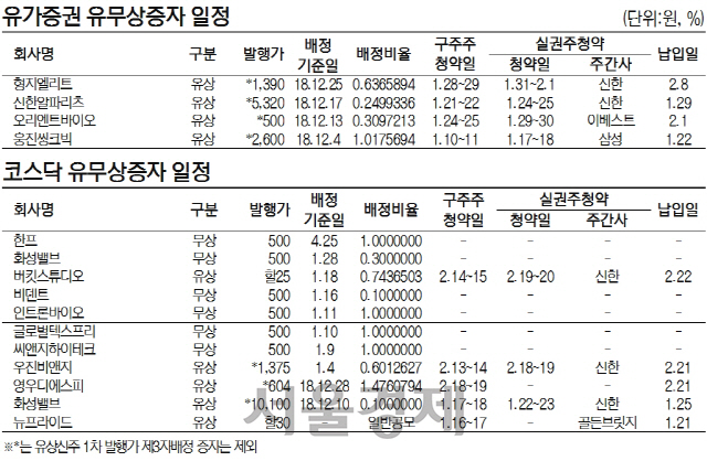 유무상증자일정