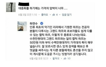 하연수, 댓글 한번 잘못 달았다가.. 따라다니는 하프 논란