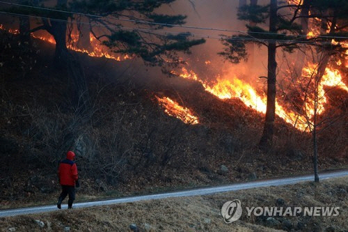 전날 오후 강원 양양군 서면 송천리에서 발생한 산불이 밤새 확산해 이틀째에 접어든 2일 오전 송천리 마을 도로변까지 산불이 내려와 있다./연합뉴스